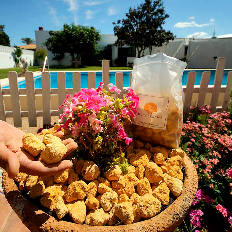 Piedra de albero seleccionada en jardín