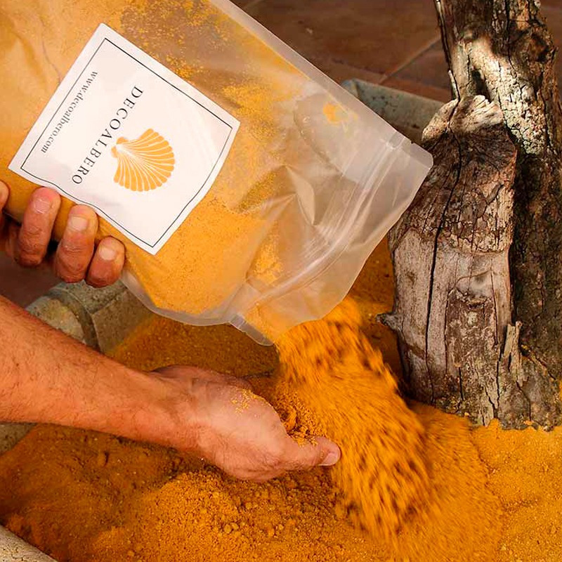 Jardín decorado con albero fino dorado